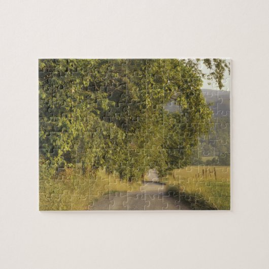 アメリカ、テネシー、スモ素晴らしーキー山脈ナショナル2 ジグソーパズル (横)