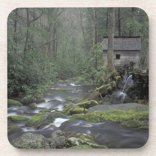 アメリカ、テネシー、スモ素晴らしーキー山脈ナショナル3 コースター (正面)