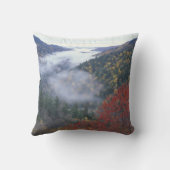 アメリカ、テネシー、スモ素晴らしーキー山脈 クッション (裏面)