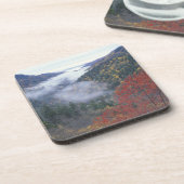 アメリカ、テネシー、スモ素晴らしーキー山脈 コースター (左側)