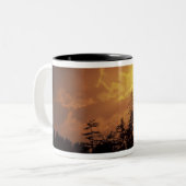 アメリカ、テネシー、スモ素晴らしーキー山脈NP.2 ツートーンマグカップ (正面左)