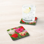 アメリカ、テネシー、ナッシュビル コースター (右側)