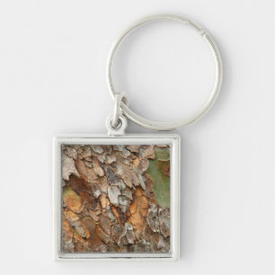 アメリカ、テネシー、木の上の樹皮を閉じる キーホルダー