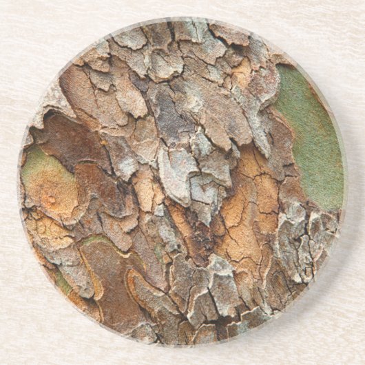 アメリカ、テネシー、木の上の樹皮を閉じる コースター (正面)