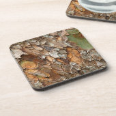 アメリカ、テネシー、木の上の樹皮を閉じる コースター (左側)