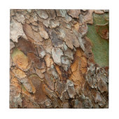 アメリカ、テネシー、木の上の樹皮を閉じる タイル (正面)