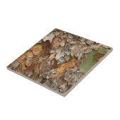 アメリカ、テネシー、木の上の樹皮を閉じる タイル (側面)