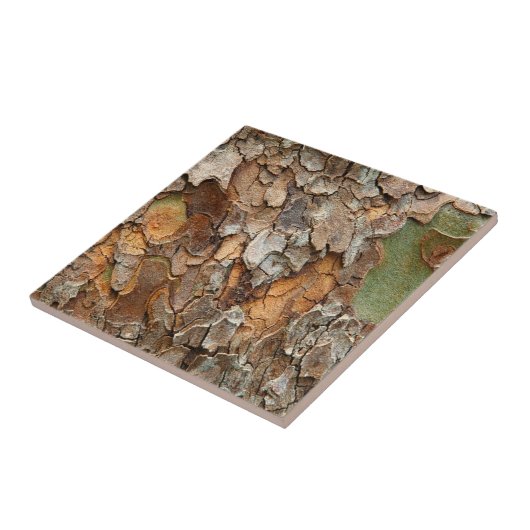 アメリカ、テネシー、木の上の樹皮を閉じる タイル (側面)