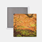 アメリカ、デラウェア、ウィルミントン。カエデ日本の マグネット (正面/裏面)