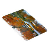 アメリカ、ニューイングランド、ニューハンプシャー。フロート飛行機 マグネット (右側)