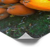 アメリカ、ニューイングランド、メイン、ウェルズ。秋の展示 ポスター (角)