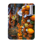 アメリカ、ニューイングランド、メイン、ウェルズ。秋の展示 マグネット (縦)