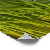 アメリカ、ニュージャージー、ジャージーシティ、のクローズアップ ポスター (角)