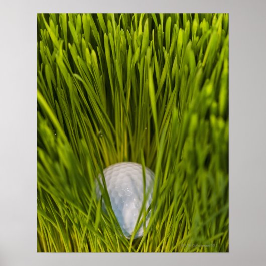 アメリカ、ニュージャージー、ジャージーシティ、のクローズアップ ポスター (正面)