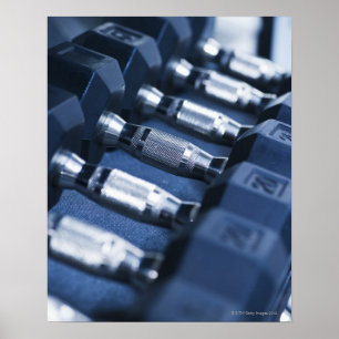 アメリカ、ニュージャージー、ジャージーシティ、ダンベルの列 ポスター