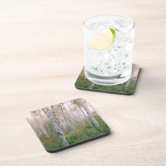 アメリカ、ニューハンプシャー。樺の木の霧を晴らす木 コースター (右側)