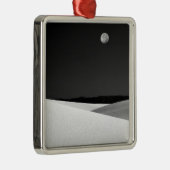 アメリカ、ニューメキシコ、ホワイトサンズ国立記念物。 メタルオーナメント (右)