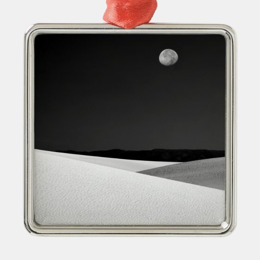 アメリカ、ニューメキシコ、ホワイトサンズ国立記念物。 メタルオーナメント (正面)