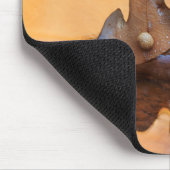 アメリカ、ニューメキシコ。川の中のオークの葉 マウスパッド (コーナー)