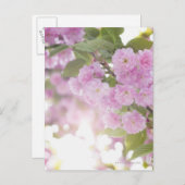 アメリカ、ニューヨーク州、ニューヨーク、クローズアップ ポストカード (正面/裏面)