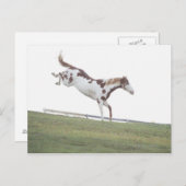 アメリカ, ニューヨーク州, ハドソン, 馬の跳躍 ポストカード (正面/裏面)