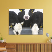 アメリカ、ニューヨーク州、牛が飲む凍ってい キャンバスプリント (インサイチュ (リビング))