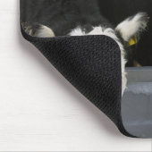 アメリカ、ニューヨーク州、牛が飲む凍ってい マウスパッド (コーナー)