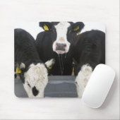 アメリカ、ニューヨーク州、牛が飲む凍ってい マウスパッド (マウス)