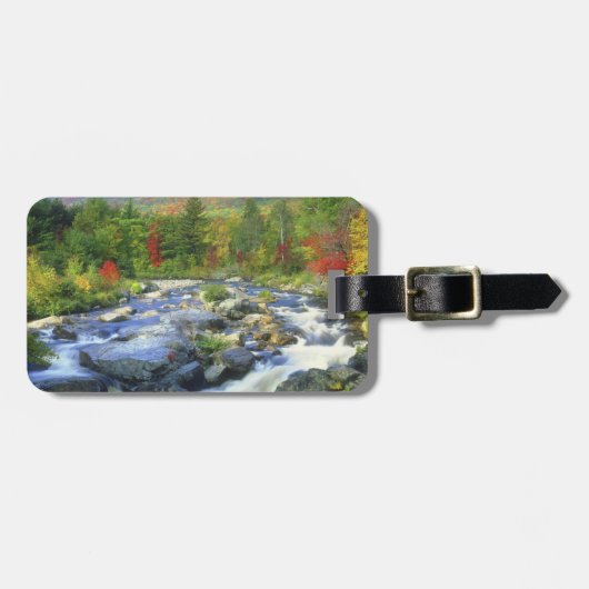 アメリカ、ニューヨーク。アディロンダックの滝 ラゲッジタグ (正面横)