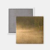 アメリカ、ニューヨーク、アディロンドック・パーク。日の出の霧 マグネット (正面/裏面)