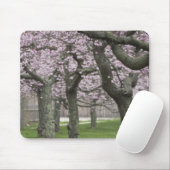 アメリカ、ニューヨーク、イーストハンプトン。さくらんぼツリー マウスパッド (マウス)