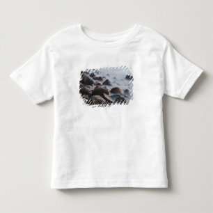 アメリカ、ニューヨーク、イーストハンプトン。海の波は トドラーTシャツ