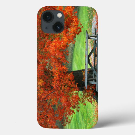 アメリカ、ニューヨーク、ウェストパーク。カエデの下のベンチ Case-Mate iPhoneケース (裏面)