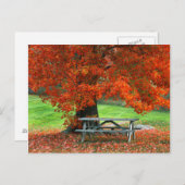 アメリカ、ニューヨーク、ウエストパーク。メープル下のベンチ ポストカード (正面/裏面)