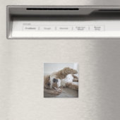 アメリカ、ニューヨーク、ニューヨーク、ブルックリン、コックポー マグネット (インサイチュ (食洗機))