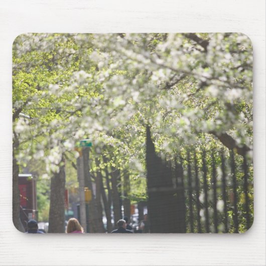 アメリカ、ニューヨーク、マンハッタン：8 マウスパッド (正面)