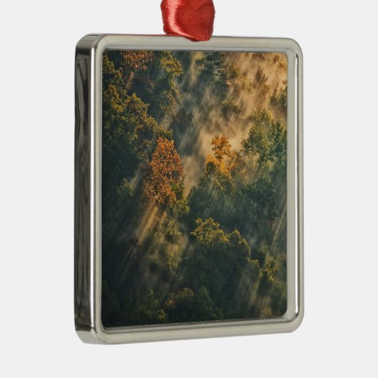 アメリカ、ニューヨーク、レッチワース州パーク。サンライズ メタルオーナメント (右)