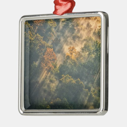 アメリカ、ニューヨーク、レッチワース州パーク。サンライズ メタルオーナメント (左)