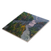 アメリカ、ニューヨーク、レッチワース州パーク。川と タイル (側面)