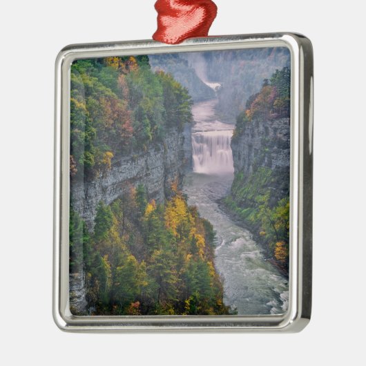 アメリカ、ニューヨーク、レッチワース州パーク。川と メタルオーナメント (左)