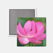 アメリカ; ノースカロライナ州; 蓮の花 マグネット (正面/裏面)