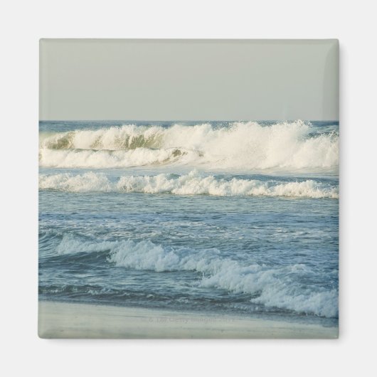 アメリカ、ノースカロライナ、外銀、悪魔を殺す3 マグネット (正面)