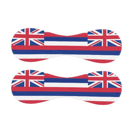 アメリカ・ハワイ州旗を持つ愛国野球 野球ボール (パネル)