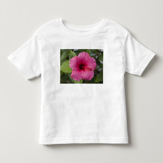 アメリカ、ハワイ、オアフ島。ハイビスカスは2 トドラーTシャツ (正面)