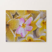 アメリカ，ハワイ，オアフ，プルメリアの花開花1 ジグソーパズル (横)