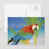 アメリカ、ハワイ。オウム ポストカード (正面/裏面)