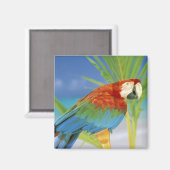 アメリカ、ハワイ。オウム マグネット (正面/裏面)