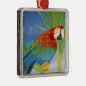 アメリカ、ハワイ。オウム メタルオーナメント (右)