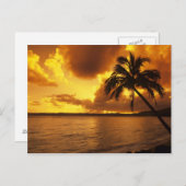 アメリカ、ハワイ、カウアイカラフル、月の日の出 ポストカード (正面/裏面)