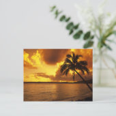 アメリカ、ハワイ、カウアイカラフル、月の日の出 ポストカード (スタンド正面)